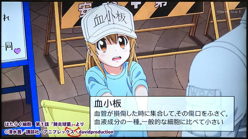 はたらく細胞P