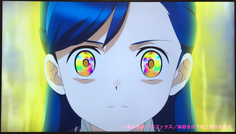 本好きの下剋上 司書になるためには手段を選んでいられませんP